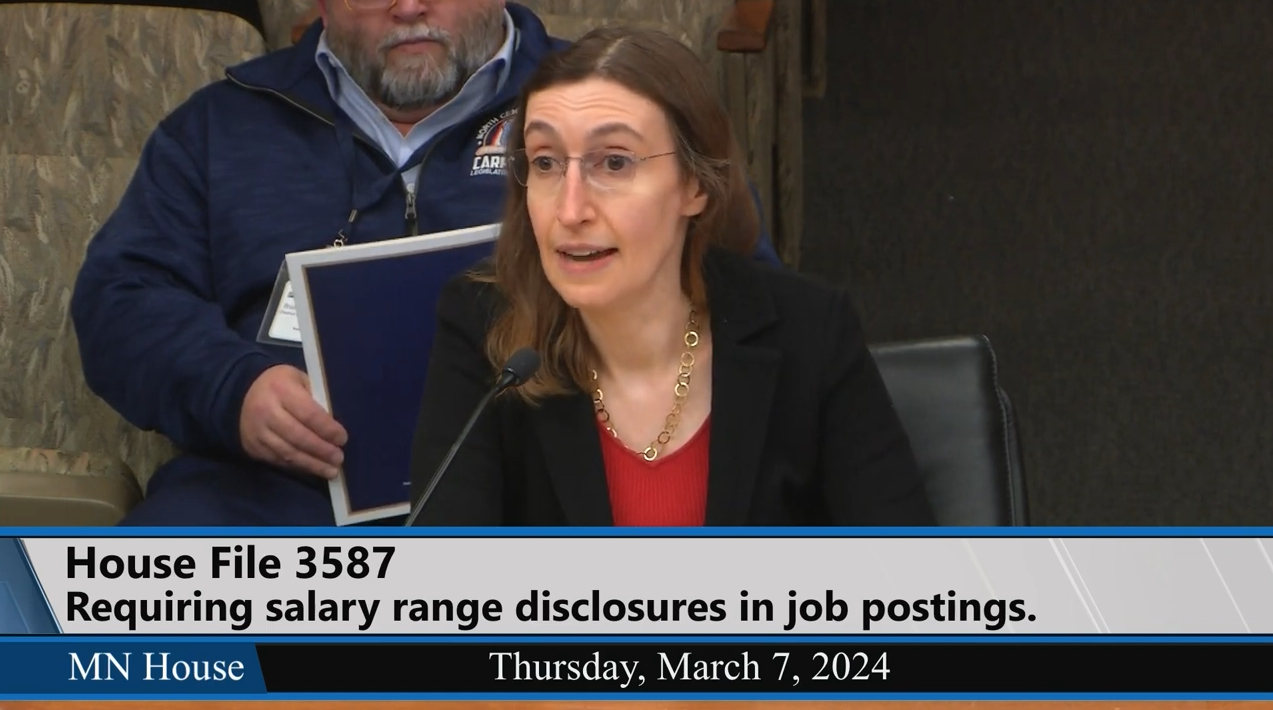 Professor Jill Hasday testifies before the Minnesota House Committee on Labor, Industry, Finance, and Policy